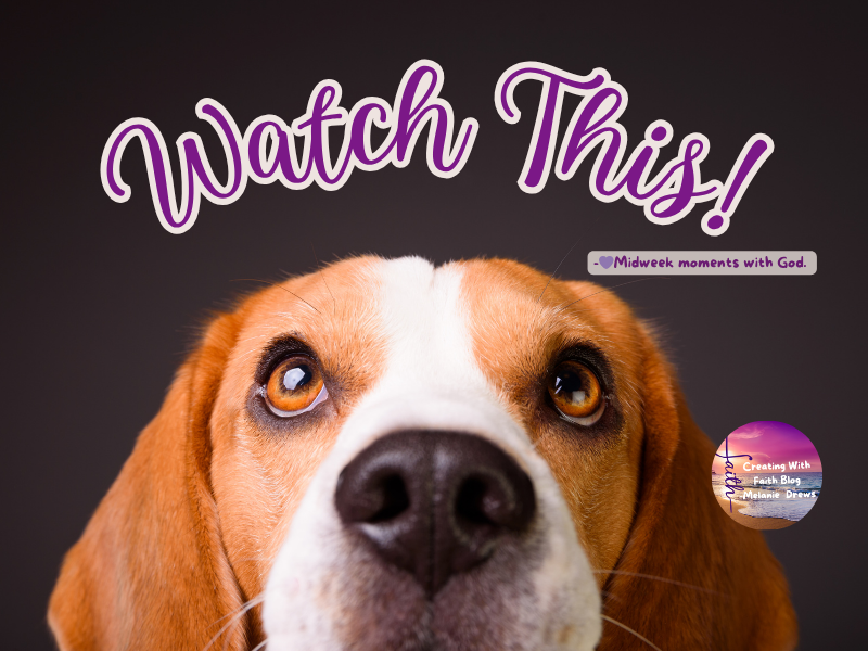 Watch This!