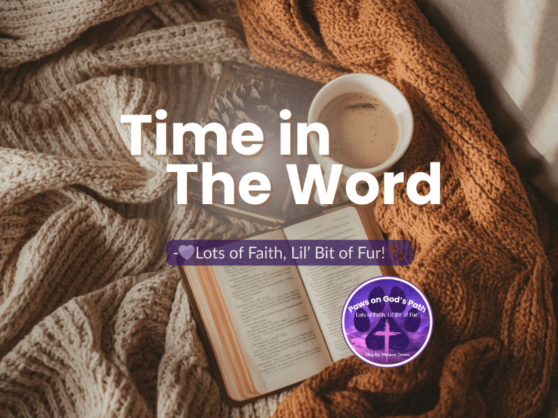 Time in the&nbsp;Word