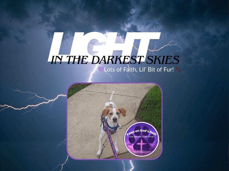 Light in the Darkest&nbsp;Skies