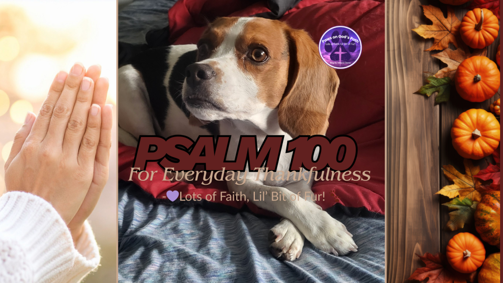 Psalm 100 for Everyday&nbsp;Thankfulness