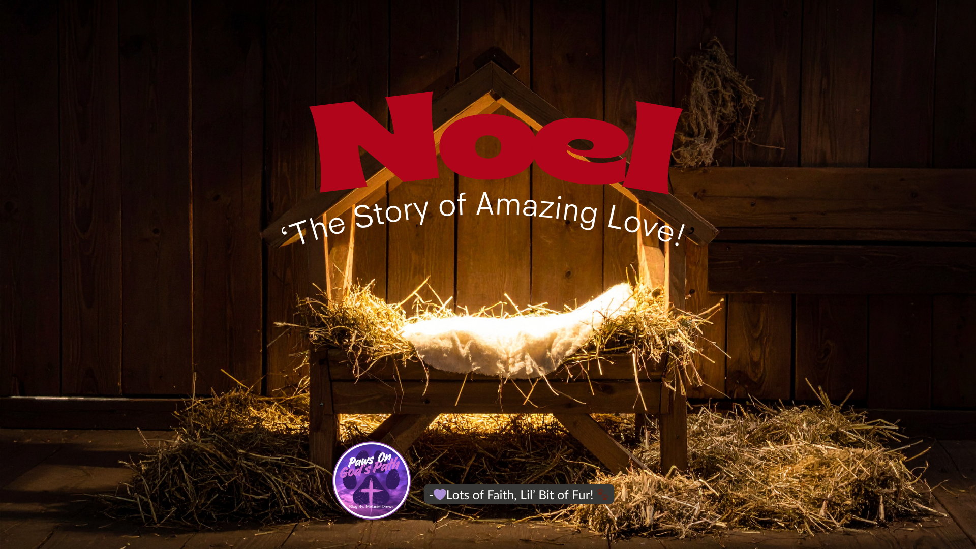 Noel: ‘The Story of Amazing Love!’