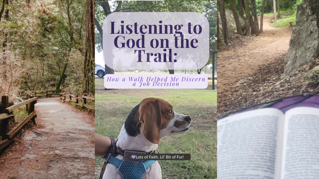 Listening to God on the Trail: How a Walk Helped Me Discern a Job&nbsp;Decision