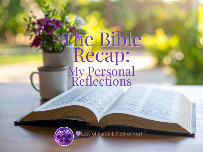 The Bible Recap: My Personal&nbsp;Reflections