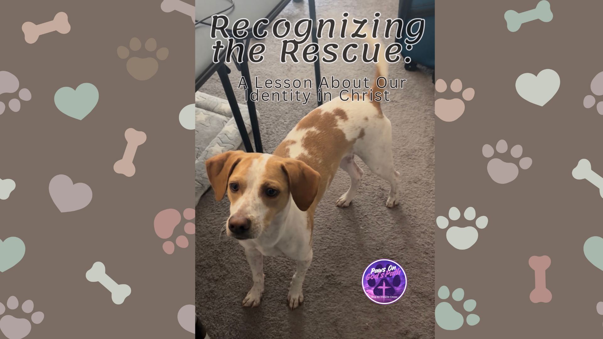 Recognizing the Rescue: A Lesson About Our Identity in Christ